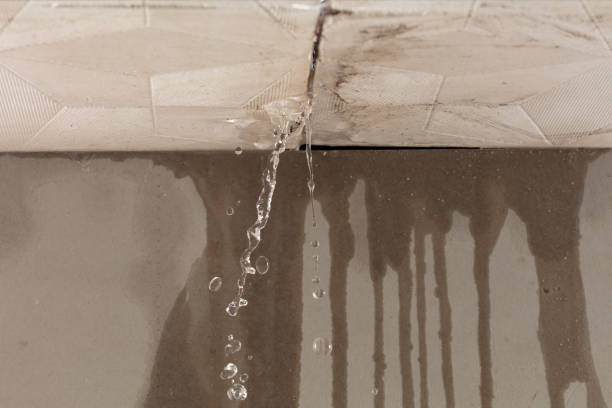 Professional Structural Drying technician working in Greenwood, ME